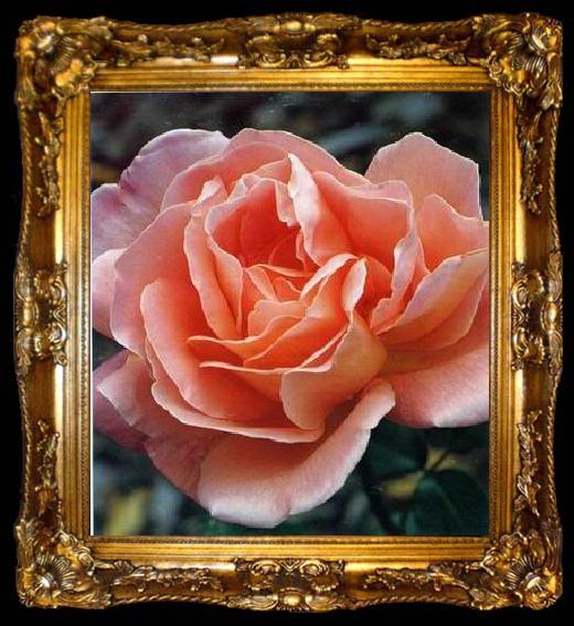 framed  unknow artist Still life floral, all kinds of reality flowers oil painting  305, ta009-2